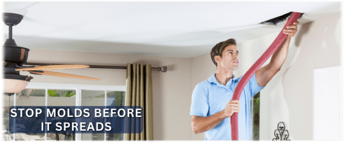 Air Duct Mold Removal in Rowlett TX